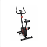 Raw Exercise Cycle imported