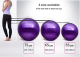 Gym ball with Air pump 65 to 100cm